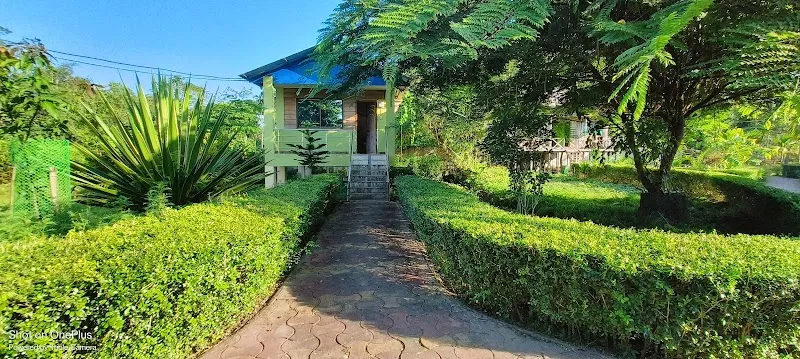 Experience Bengal Magurmari Homestay