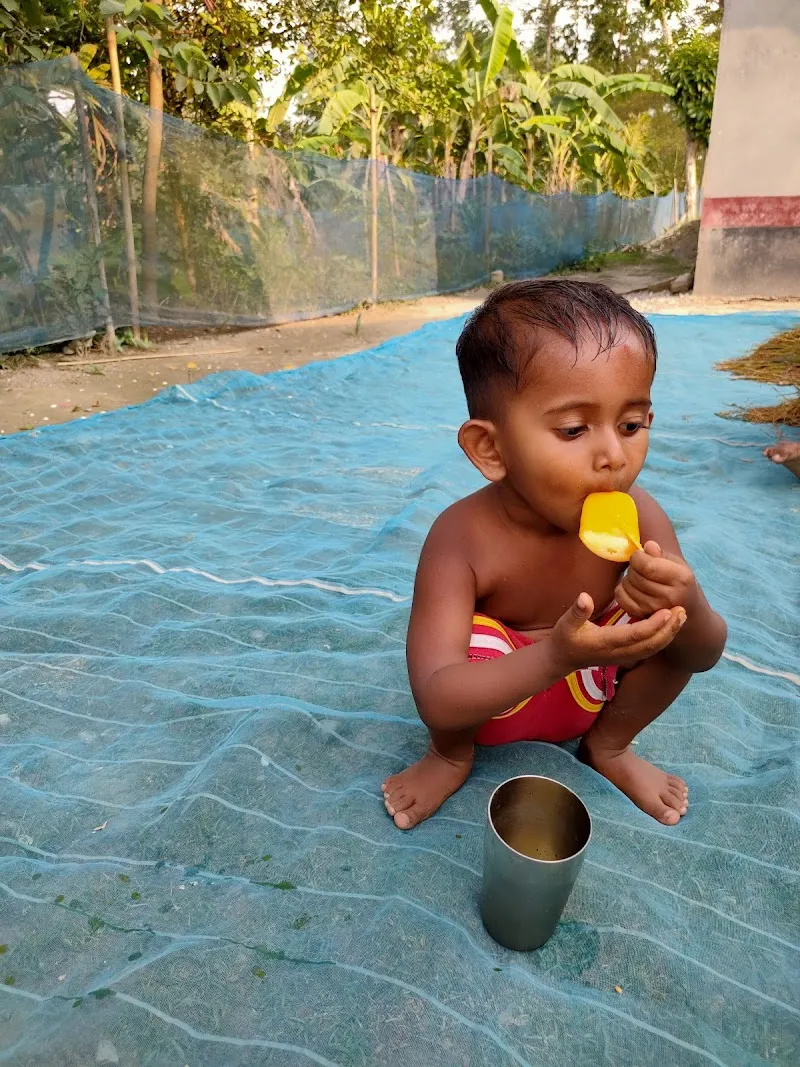 Sarkar Homestay