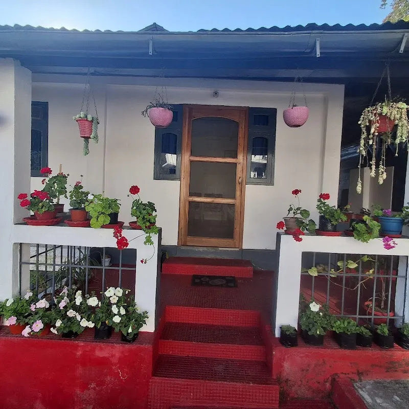 Grey Dove HomeStay