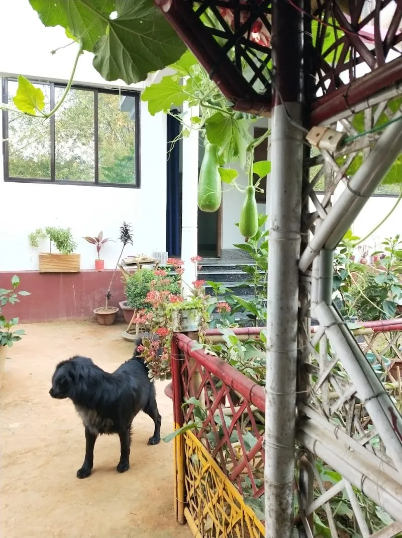 maa homestay