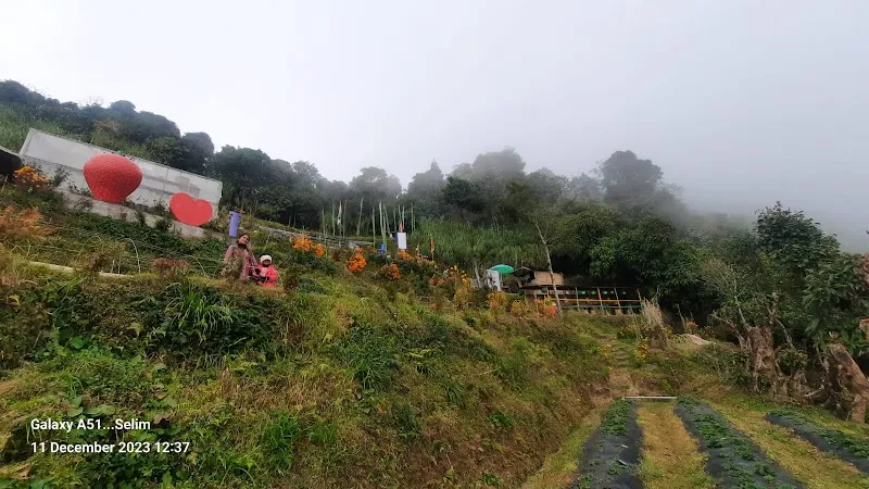 The HomeStay