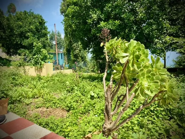 Vidhata Bhawan