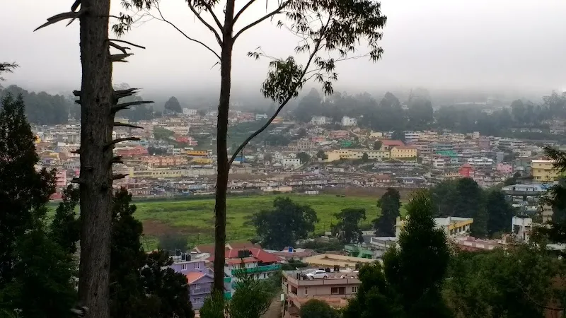 Green View Home Stay