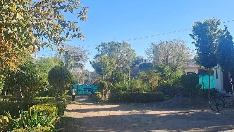 Farm & Resort (Radical Home Stay)